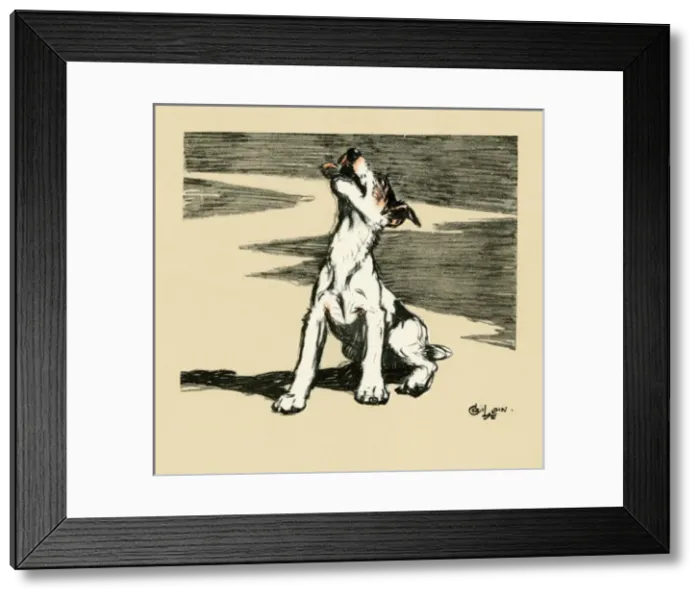 Framed Print : Illustration by Cecil Aldin, puppy howling Framed Print : Illustration by Cecil Aldin, puppy howling