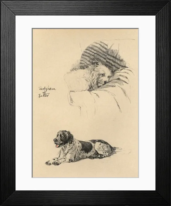 Framed Print : Sketches by Cecil Aldin, Just Among Friends Framed Print : Sketches by Cecil Aldin, Just Among Friends