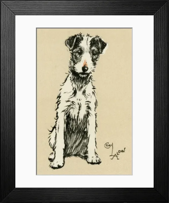 Framed Print : Illustration by Cecil Aldin, rough-haired terrier Framed Print : Illustration by Cecil Aldin, rough-haired terrier