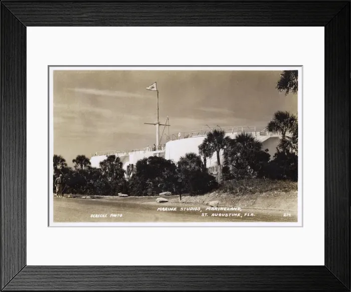 Framed Print : Marine Studios, Marineland, Florida, USA Framed Print : Marine Studios, Marineland, Florida, USA