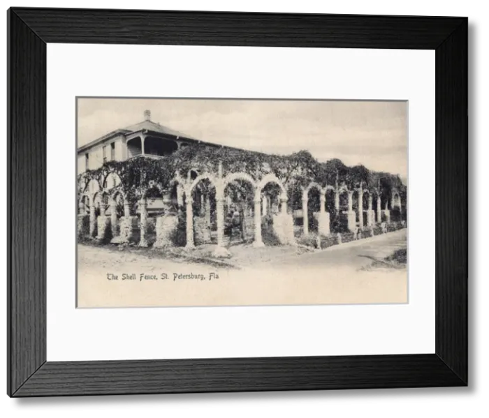 Framed Print : Shell Fence, St Petersburg, Florida, USA Framed Print : Shell Fence, St Petersburg, Florida, USA