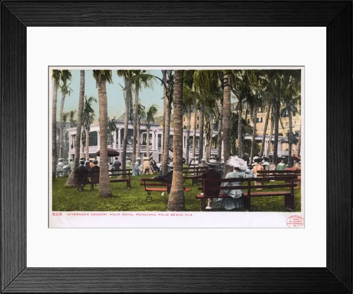 Framed Print : Afternoon concert, Royal Poinciana, Palm Beach, Florida, USA Framed Print : Afternoon concert, Royal Poinciana, Palm Beach, Florida, USA