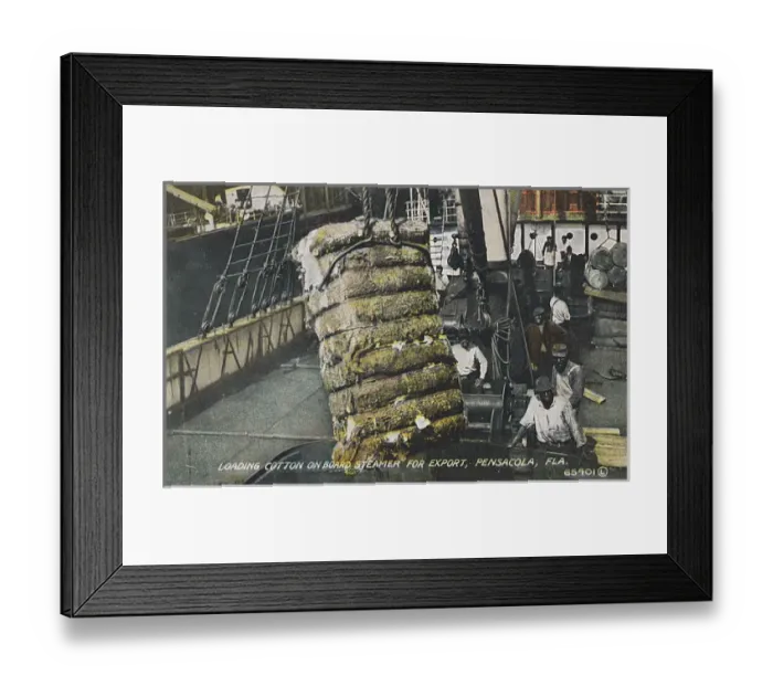 Framed Print : Loading cotton, Pensacola, Florida, USA Framed Print : Loading cotton, Pensacola, Florida, USA