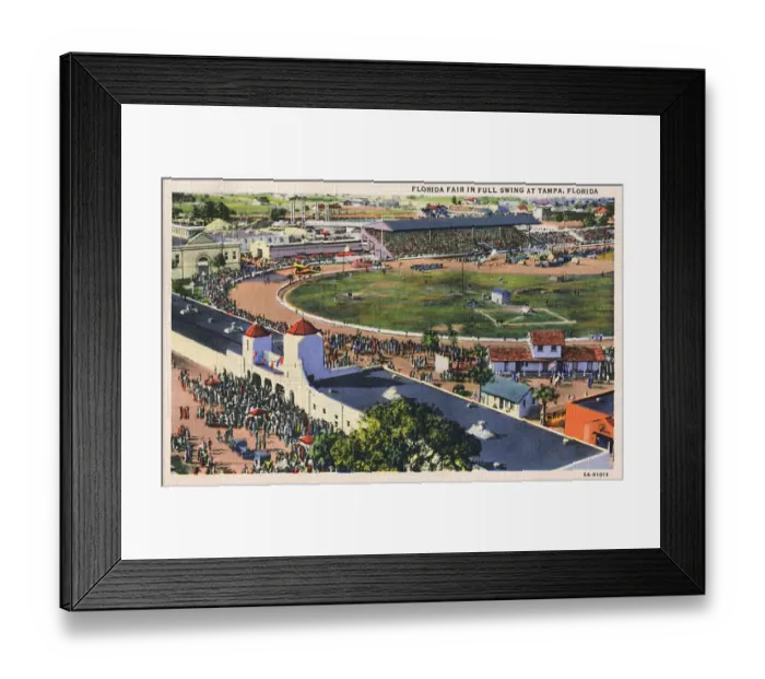 Framed Print : Aerial view of Florida Fair, Tampa, Florida, USA Framed Print : Aerial view of Florida Fair, Tampa, Florida, USA