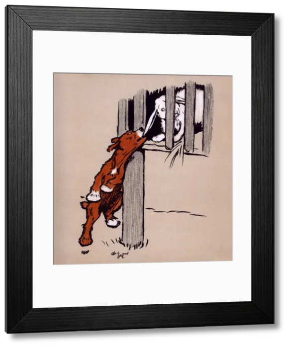 Framed Print : Illustration by Cecil Aldin, The Red Puppy Book Framed Print : Illustration by Cecil Aldin, The Red Puppy Book