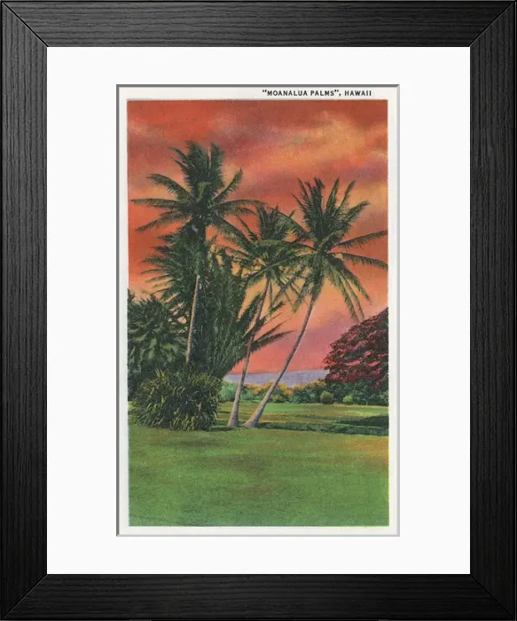 Framed Print : Moanalua Palms, near Honolulu, Hawaii, USA Framed Print : Moanalua Palms, near Honolulu, Hawaii, USA