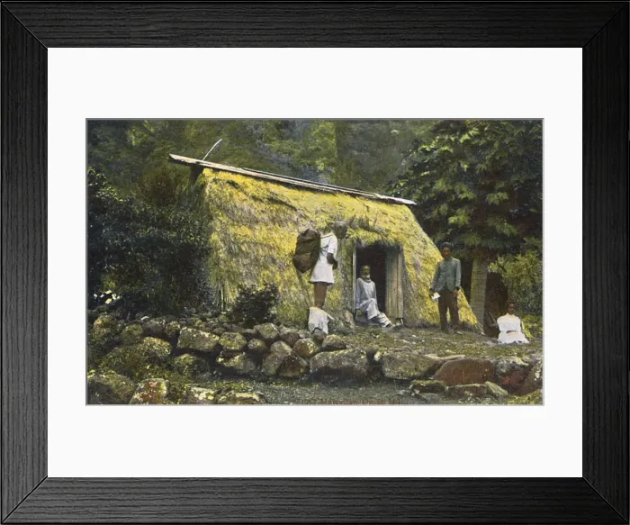 Framed Print : Old grass hut, Hawaii, USA Framed Print : Old grass hut, Hawaii, USA