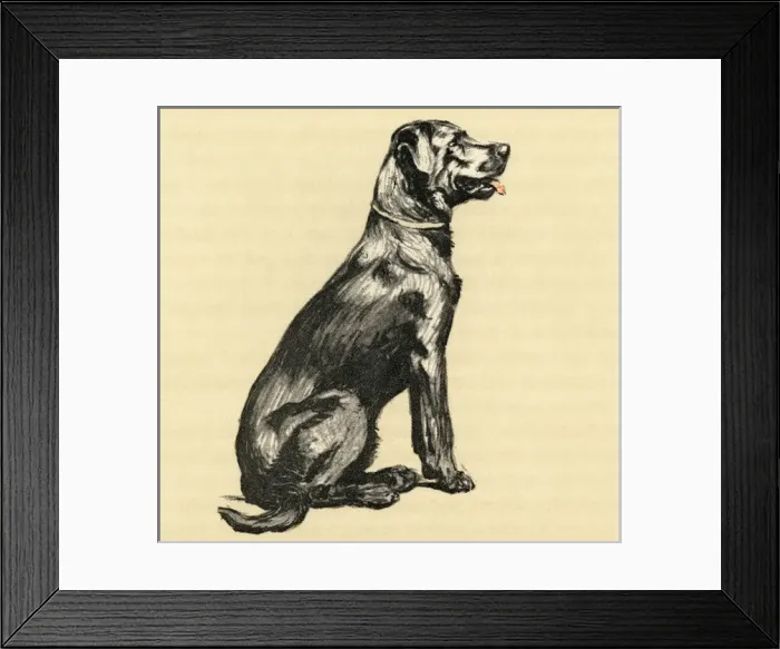 Framed Print : Illustration by Cecil Aldin, a dog who stole eggs Framed Print : Illustration by Cecil Aldin, a dog who stole eggs