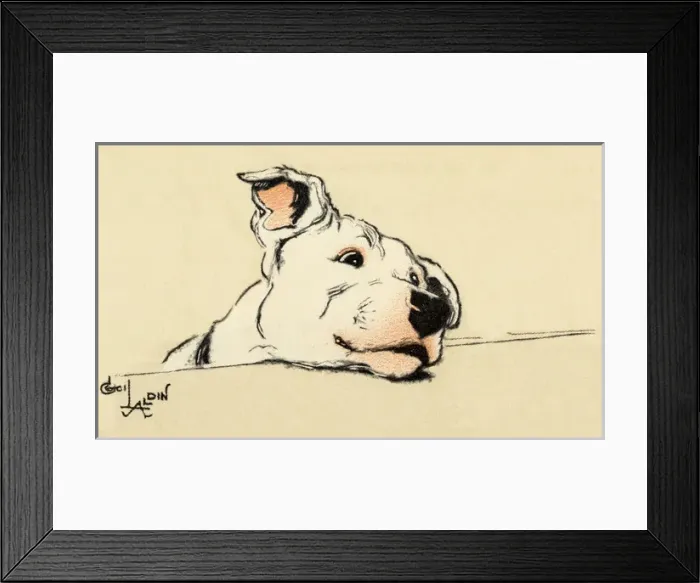 Framed Print : Illustration by Cecil Aldin, bull terrier head study Framed Print : Illustration by Cecil Aldin, bull terrier head study