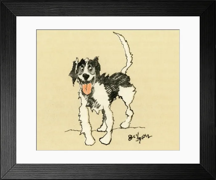 Framed Print : Illustration by Cecil Aldin, French hound Framed Print : Illustration by Cecil Aldin, French hound