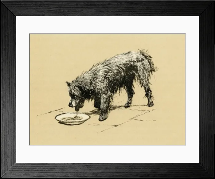 Framed Print : Illustration by Cecil Aldin, study of a Chow Framed Print : Illustration by Cecil Aldin, study of a Chow