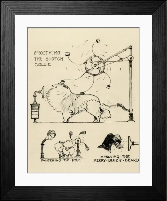 Framed Print : Illustration by Cecil Aldin, Crackers dog show inventions Framed Print : Illustration by Cecil Aldin, Crackers dog show inventions