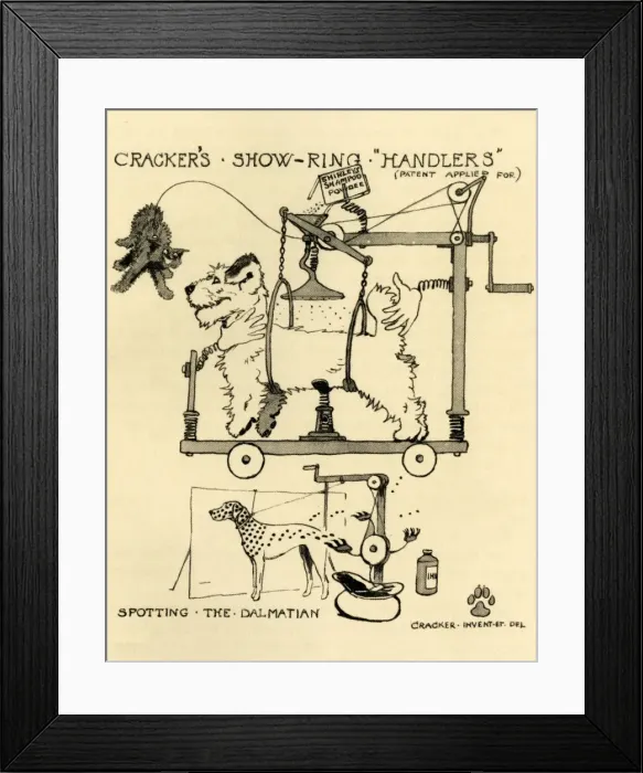 Framed Print : Illustration by Cecil Aldin, Crackers dog show inventions Framed Print : Illustration by Cecil Aldin, Crackers dog show inventions