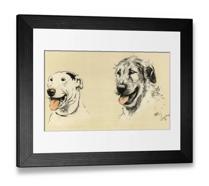 Framed Print : Illustration by Cecil Aldin, Micky and Cracker Framed Print : Illustration by Cecil Aldin, Micky and Cracker