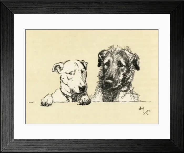 Framed Print : Illustration by Cecil Aldin, Micky and Cracker Framed Print : Illustration by Cecil Aldin, Micky and Cracker