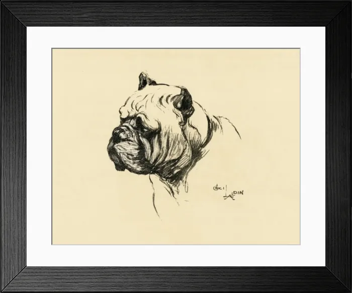 Framed Print : Illustration by Cecil Aldin, the mongrel dog show Framed Print : Illustration by Cecil Aldin, the mongrel dog show