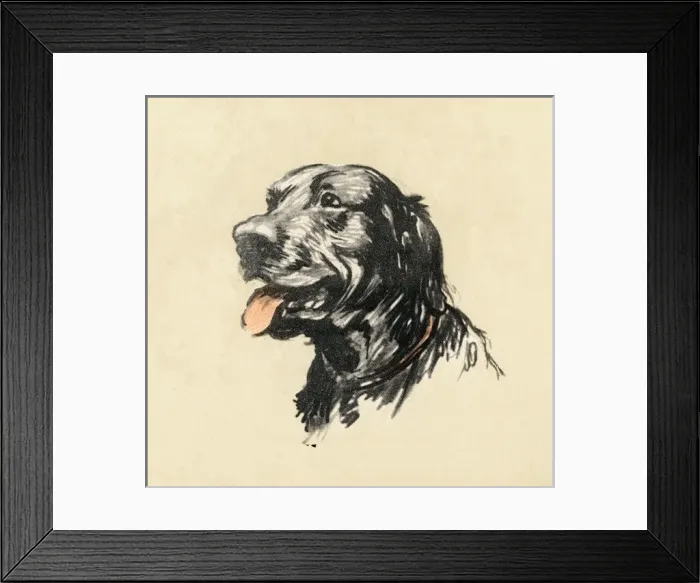 Framed Print : Illustration by Cecil Aldin, the mongrel dog show Framed Print : Illustration by Cecil Aldin, the mongrel dog show
