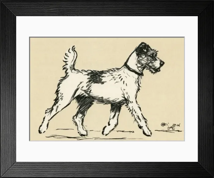 Framed Print : Illustration by Cecil Aldin, Tatters exploring a town Framed Print : Illustration by Cecil Aldin, Tatters exploring a town