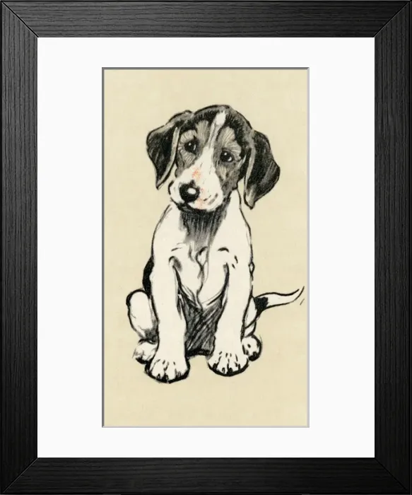 Framed Print : Illustration by Cecil Aldin, foxhound puppy Framed Print : Illustration by Cecil Aldin, foxhound puppy