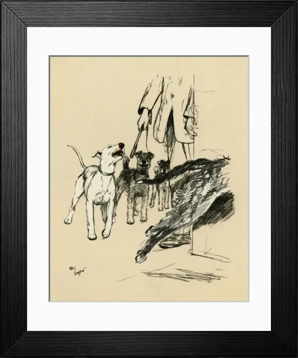 Framed Print : Illustration by Cecil Aldin, dogs at supper time Framed Print : Illustration by Cecil Aldin, dogs at supper time