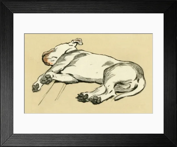 Framed Print : Illustration by Cecil Aldin, bull terrier lying down Framed Print : Illustration by Cecil Aldin, bull terrier lying down