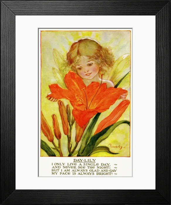 Framed Print : Day lily. Pub: Humphrey Milford, Postcards for the Little Ones Framed Print : Day lily. Pub: Humphrey Milford, Postcards for the Little Ones