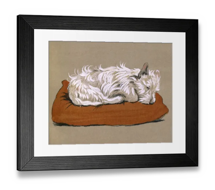 Framed Print : Illustration by Cecil Aldin, Mac Framed Print : Illustration by Cecil Aldin, Mac