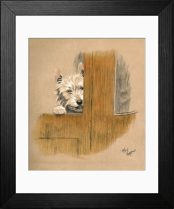 Framed Print : Illustration by Cecil Aldin, Mac Framed Print : Illustration by Cecil Aldin, Mac