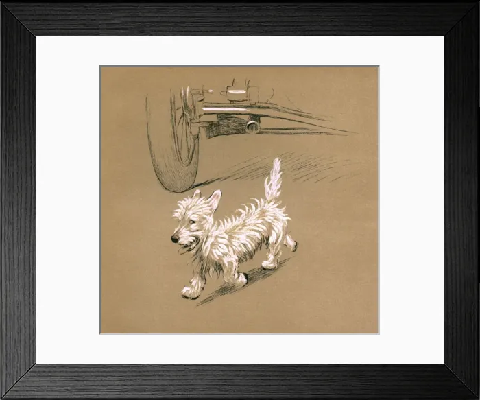 Framed Print : Illustration by Cecil Aldin, Mac Framed Print : Illustration by Cecil Aldin, Mac