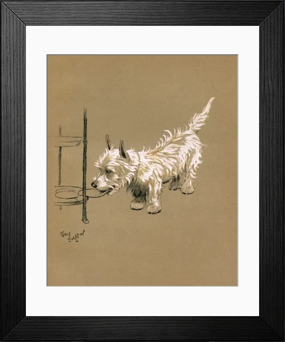 Framed Print : Illustration by Cecil Aldin, Mac Framed Print : Illustration by Cecil Aldin, Mac