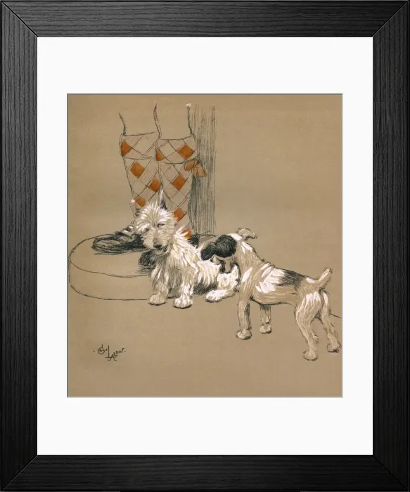 Framed Print : Illustration by Cecil Aldin, Mac Framed Print : Illustration by Cecil Aldin, Mac
