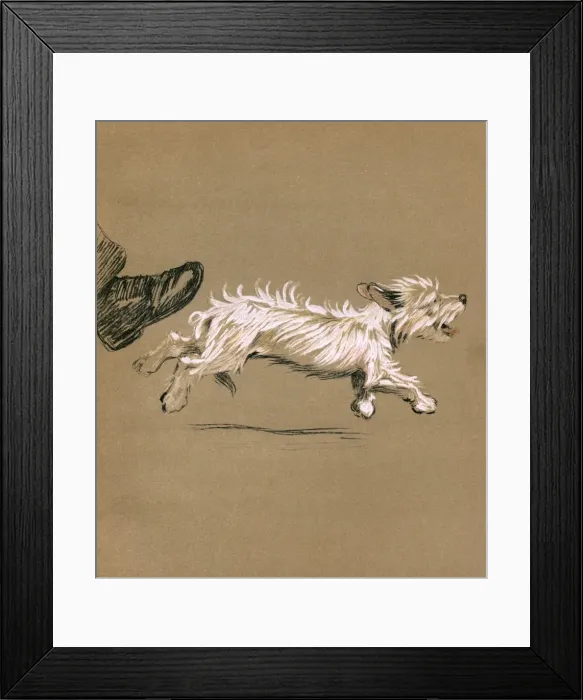 Framed Print : Illustration by Cecil Aldin, Mac Framed Print : Illustration by Cecil Aldin, Mac