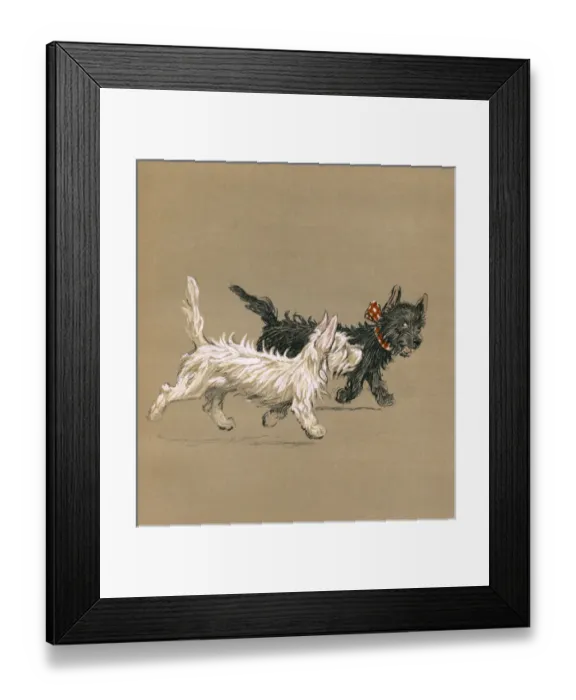Framed Print : Illustration by Cecil Aldin, Mac Framed Print : Illustration by Cecil Aldin, Mac