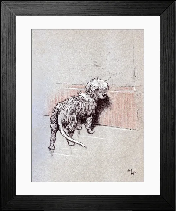 Framed Print : Illustration by Cecil Aldin, The Snob Framed Print : Illustration by Cecil Aldin, The Snob