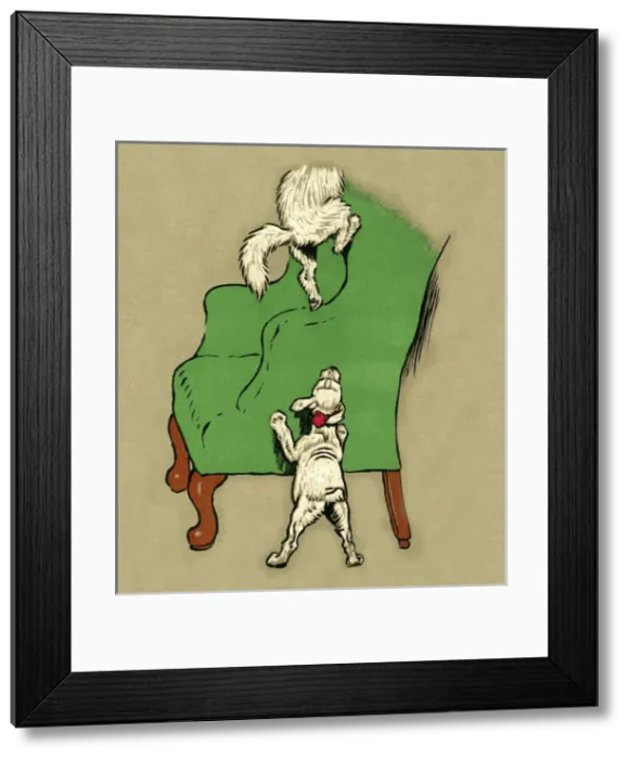 Framed Print : Illustration by Cecil Aldin, Pickles Framed Print : Illustration by Cecil Aldin, Pickles