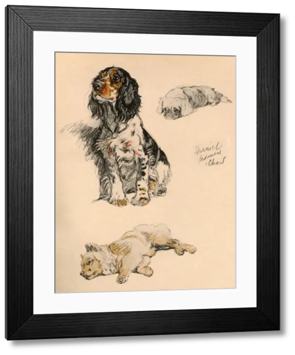 Framed Print : Sketches by Cecil Aldin, Just Among Friends Framed Print : Sketches by Cecil Aldin, Just Among Friends