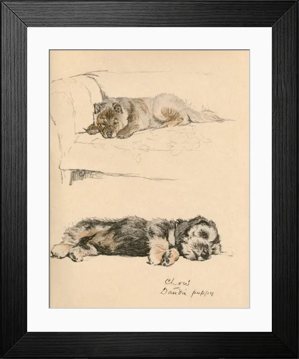 Framed Print : Sketches by Cecil Aldin, Just Among Friends Framed Print : Sketches by Cecil Aldin, Just Among Friends
