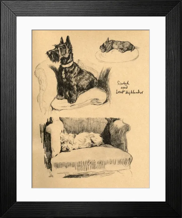 Framed Print : Sketches by Cecil Aldin, Just Among Friends Framed Print : Sketches by Cecil Aldin, Just Among Friends