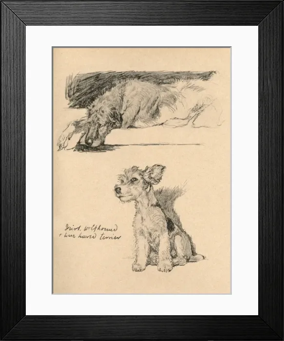 Framed Print : Sketches by Cecil Aldin, Just Among Friends Framed Print : Sketches by Cecil Aldin, Just Among Friends