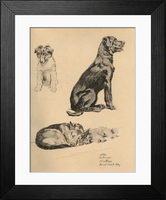 Framed Print : Sketches by Cecil Aldin, Just Among Friends Framed Print : Sketches by Cecil Aldin, Just Among Friends