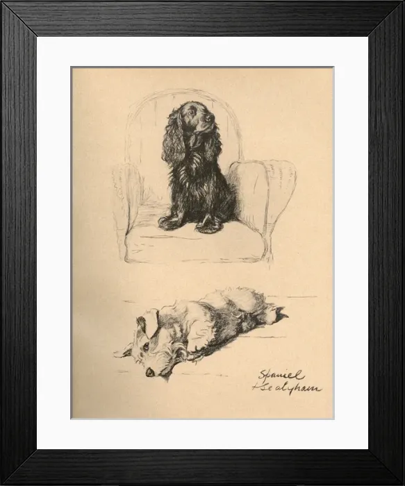 Framed Print : Sketches by Cecil Aldin, Just Among Friends Framed Print : Sketches by Cecil Aldin, Just Among Friends