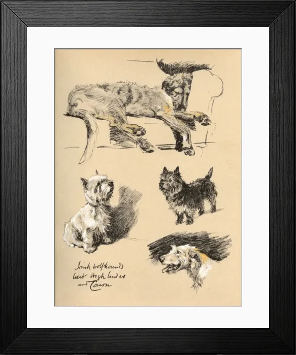 Framed Print : Sketches by Cecil Aldin, Just Among Friends Framed Print : Sketches by Cecil Aldin, Just Among Friends