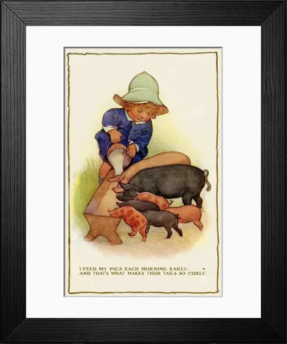 Framed Print : Feeding pigs Framed Print : Feeding pigs