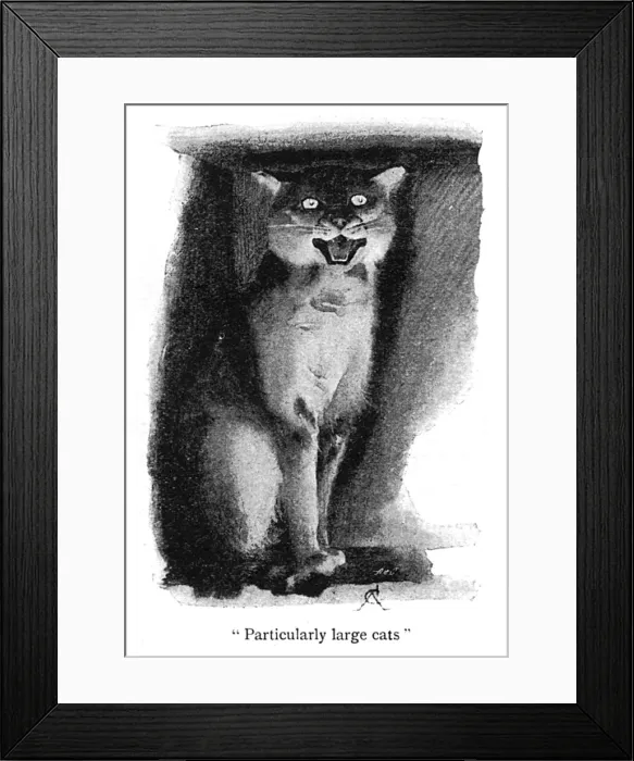 Framed Print : Illustration, a wild cat in a zoo Framed Print : Illustration, a wild cat in a zoo