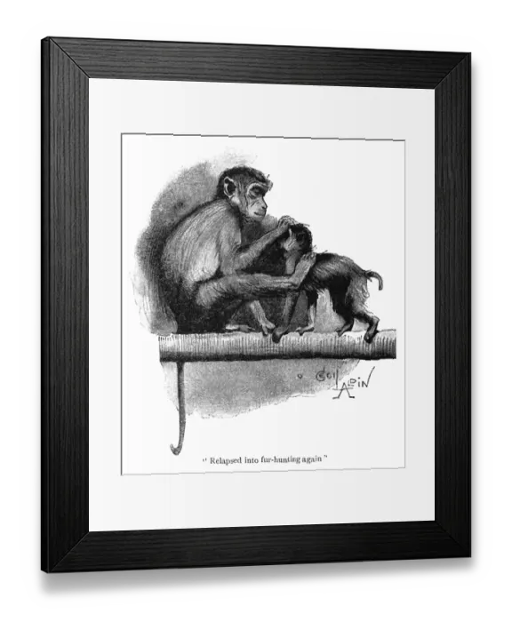 Framed Print : Illustration, two monkeys in a zoo Framed Print : Illustration, two monkeys in a zoo
