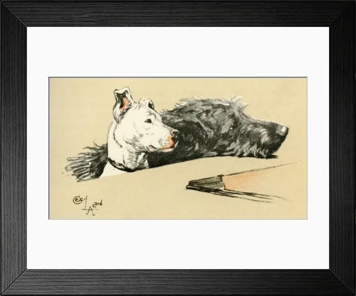 Framed Print : Illustration by Cecil Aldin, Micky and Cracker Framed Print : Illustration by Cecil Aldin, Micky and Cracker