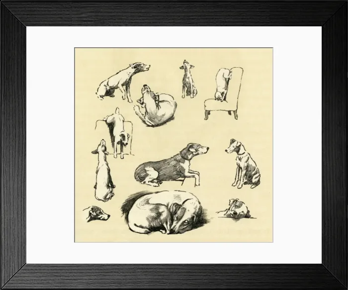 Framed Print : Illustration by Cecil Aldin, fox terrier posing as model Framed Print : Illustration by Cecil Aldin, fox terrier posing as model
