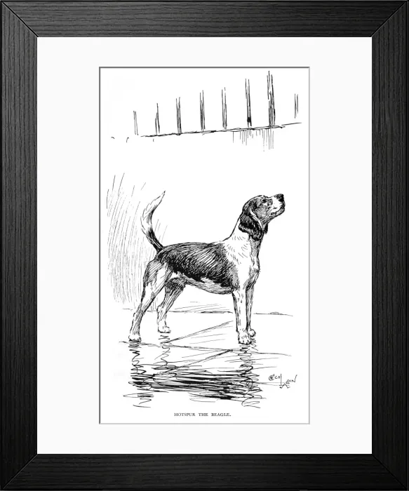Framed Print : Frontispiece illustration by Cecil Aldin, Hotspur the Beagle Framed Print : Frontispiece illustration by Cecil Aldin, Hotspur the Beagle