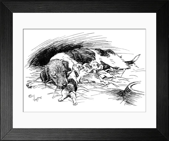 Framed Print : Illustration by Cecil Aldin, Hotspur the Beagle Framed Print : Illustration by Cecil Aldin, Hotspur the Beagle