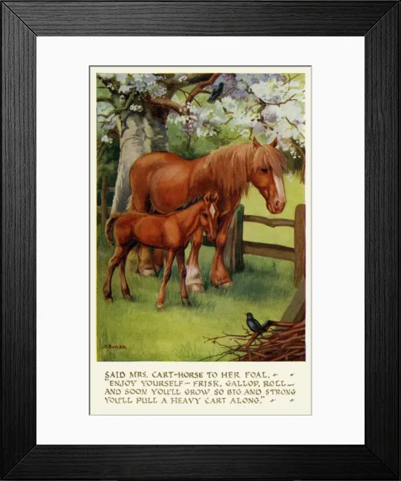 Framed Print : Cart horse & foal Framed Print : Cart horse & foal